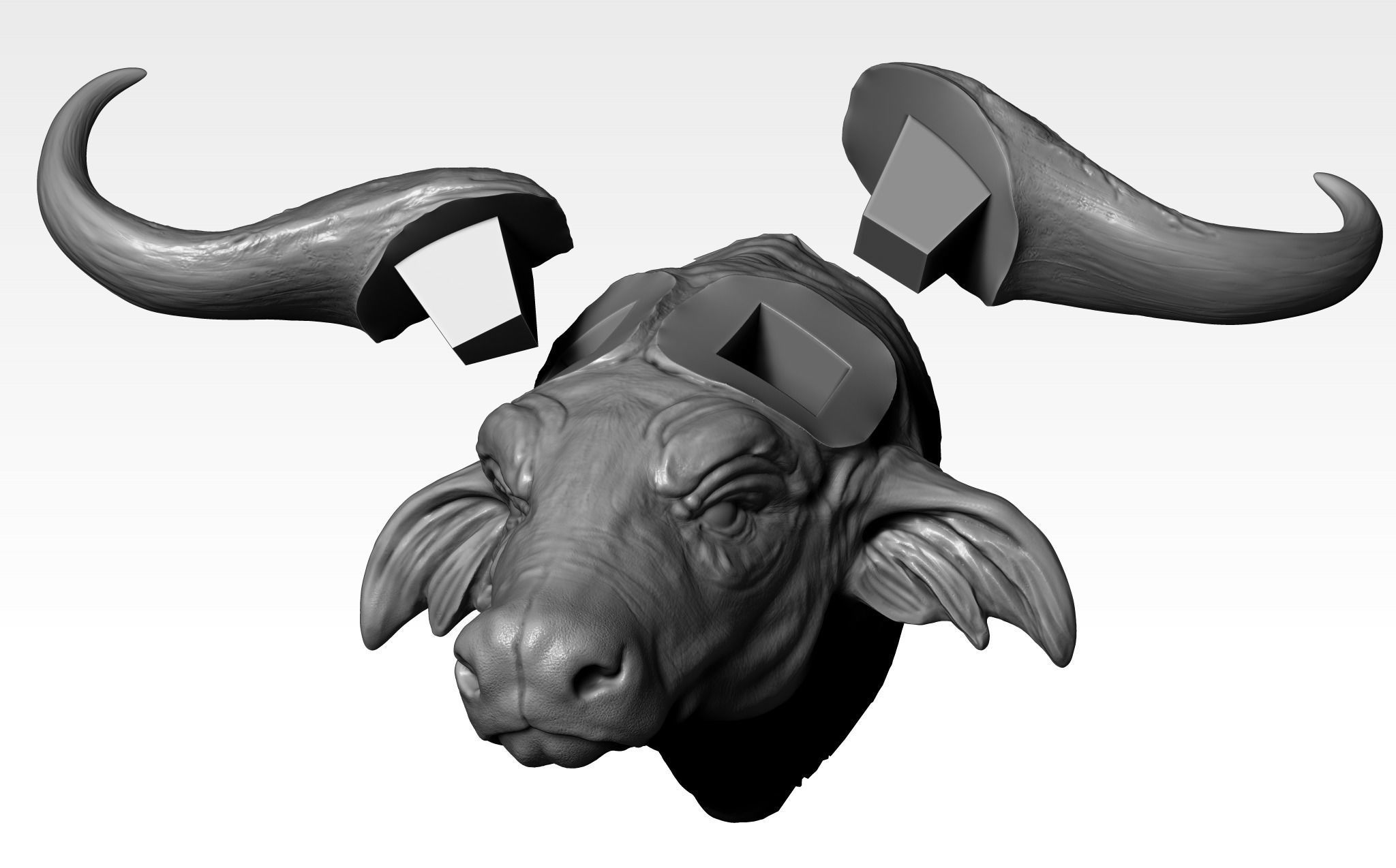 Buffalo Head for printing 3d 3D print model_6