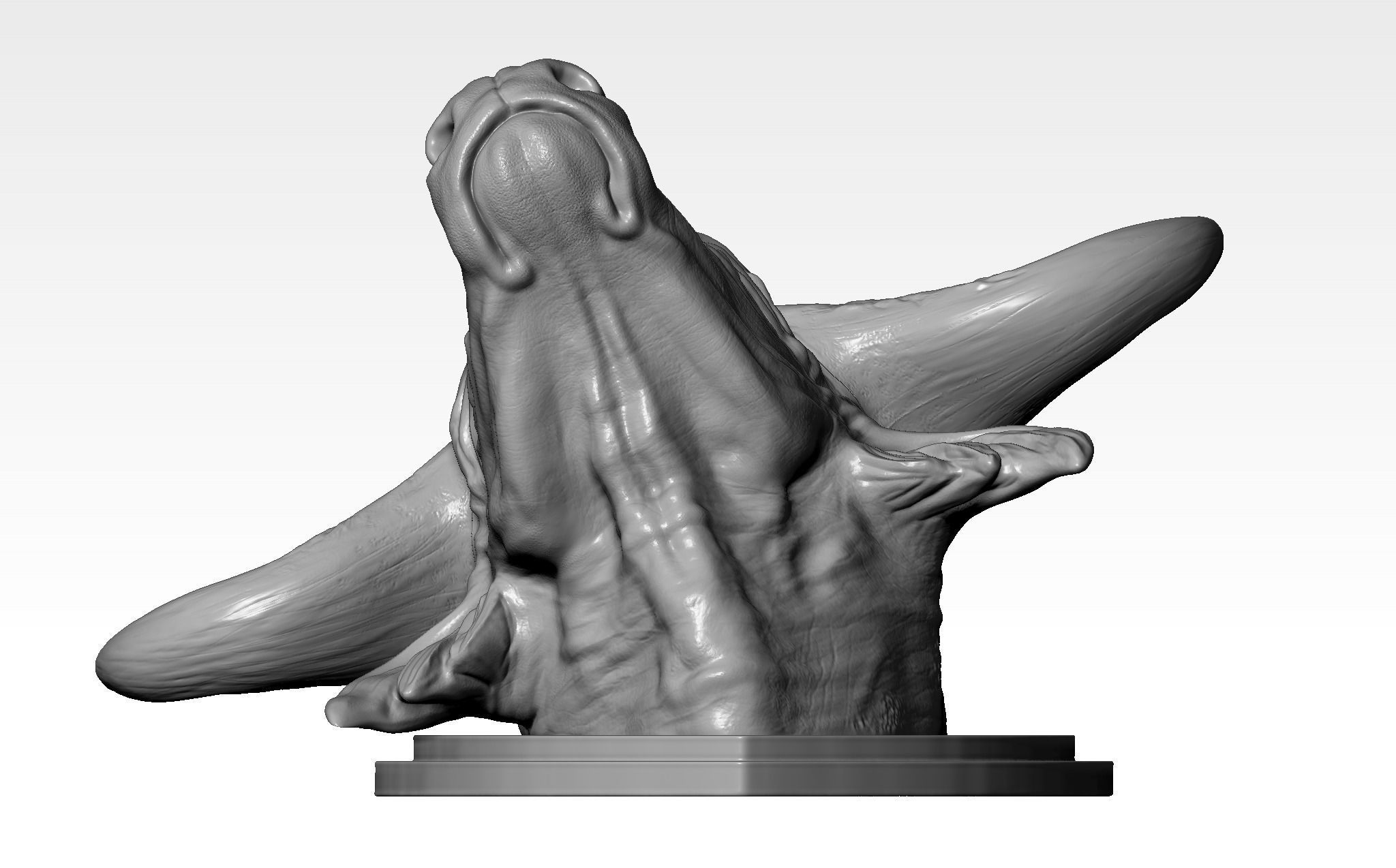 Buffalo Head for printing 3d 3D print model_8