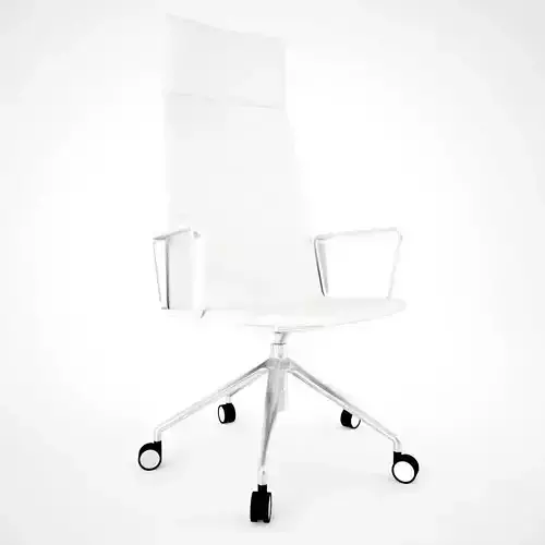 Office Chair W
