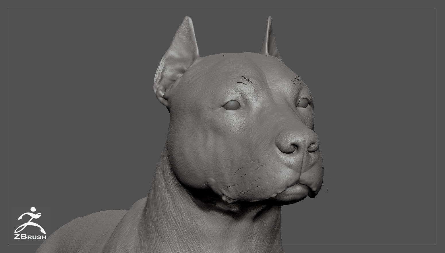 Pitbull High-Poly pit bull dog 3D print model_6