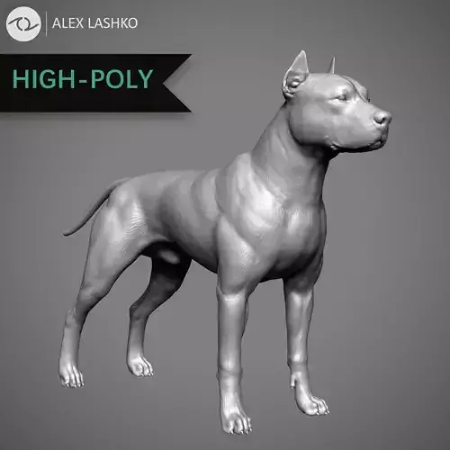 Pitbull High-Poly pit bull dog 3D print model