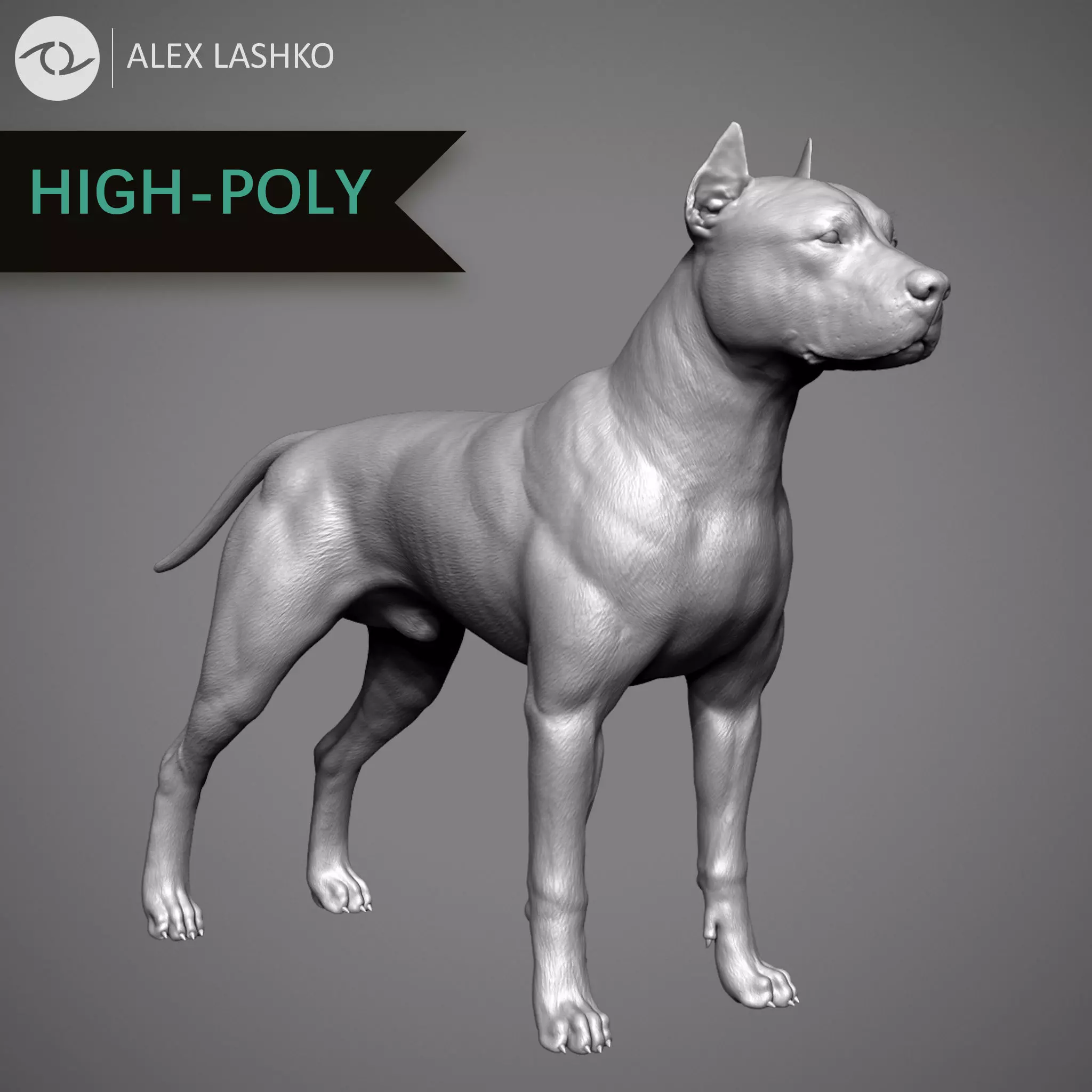 Pitbull High-Poly pit bull dog 3D print model_0