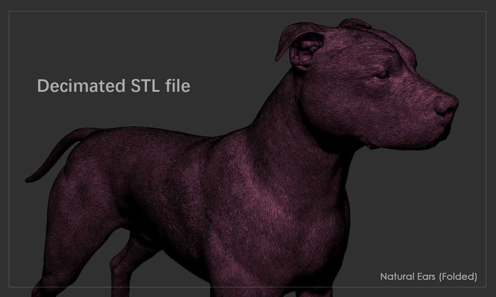 Pitbull High-Poly pit bull dog 3D print model_11