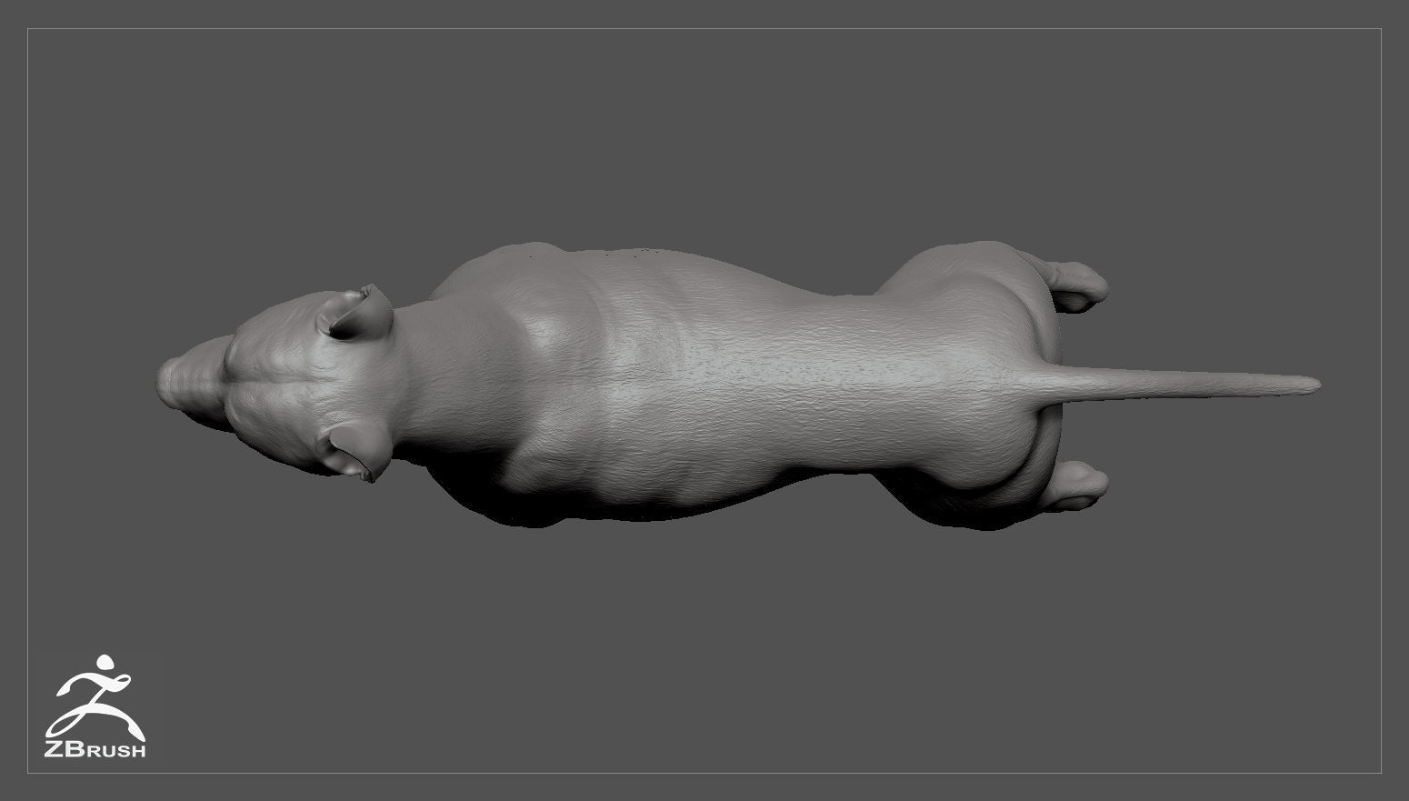 Pitbull High-Poly pit bull dog 3D print model_4