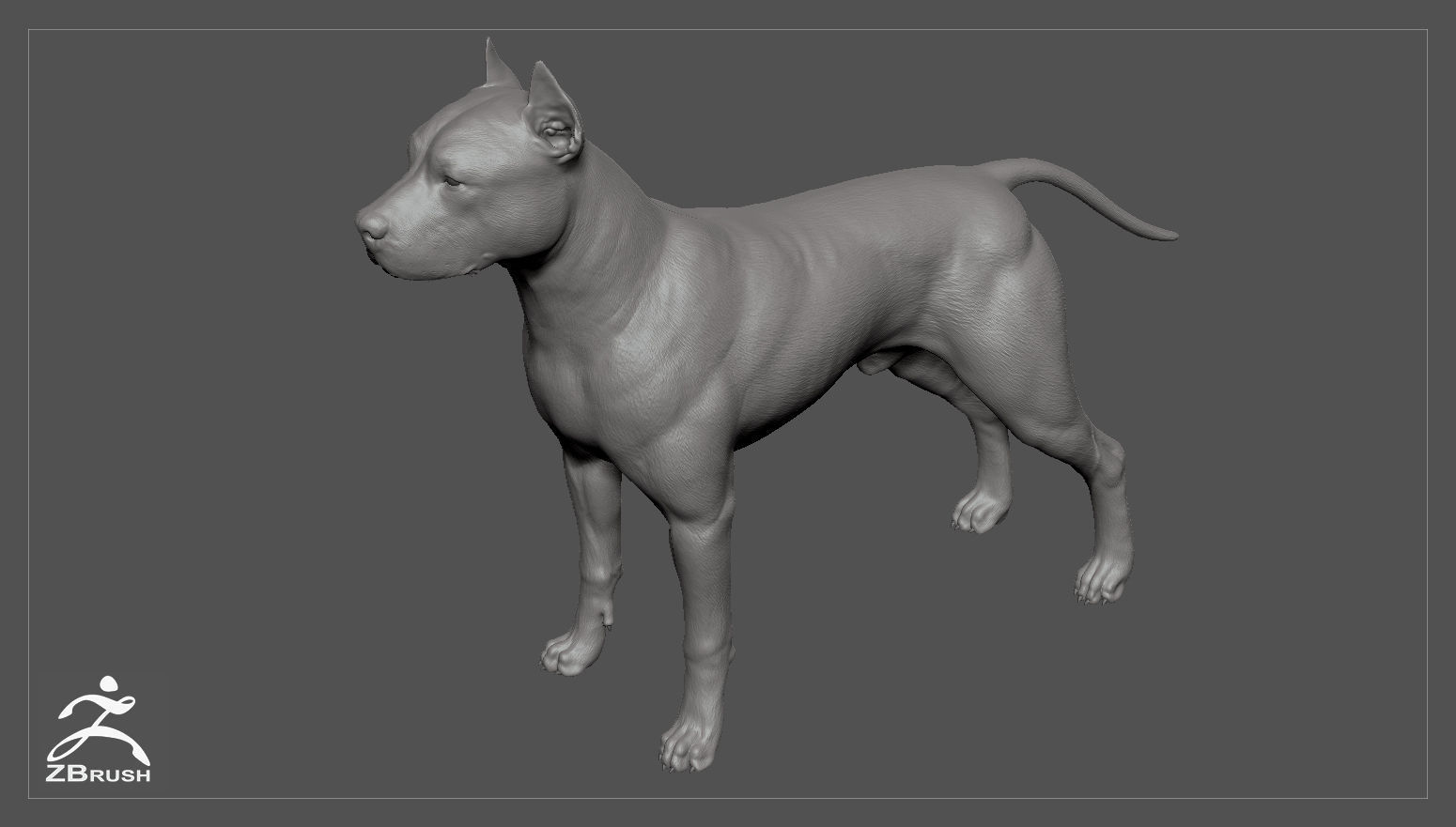 Pitbull High-Poly pit bull dog 3D print model_3