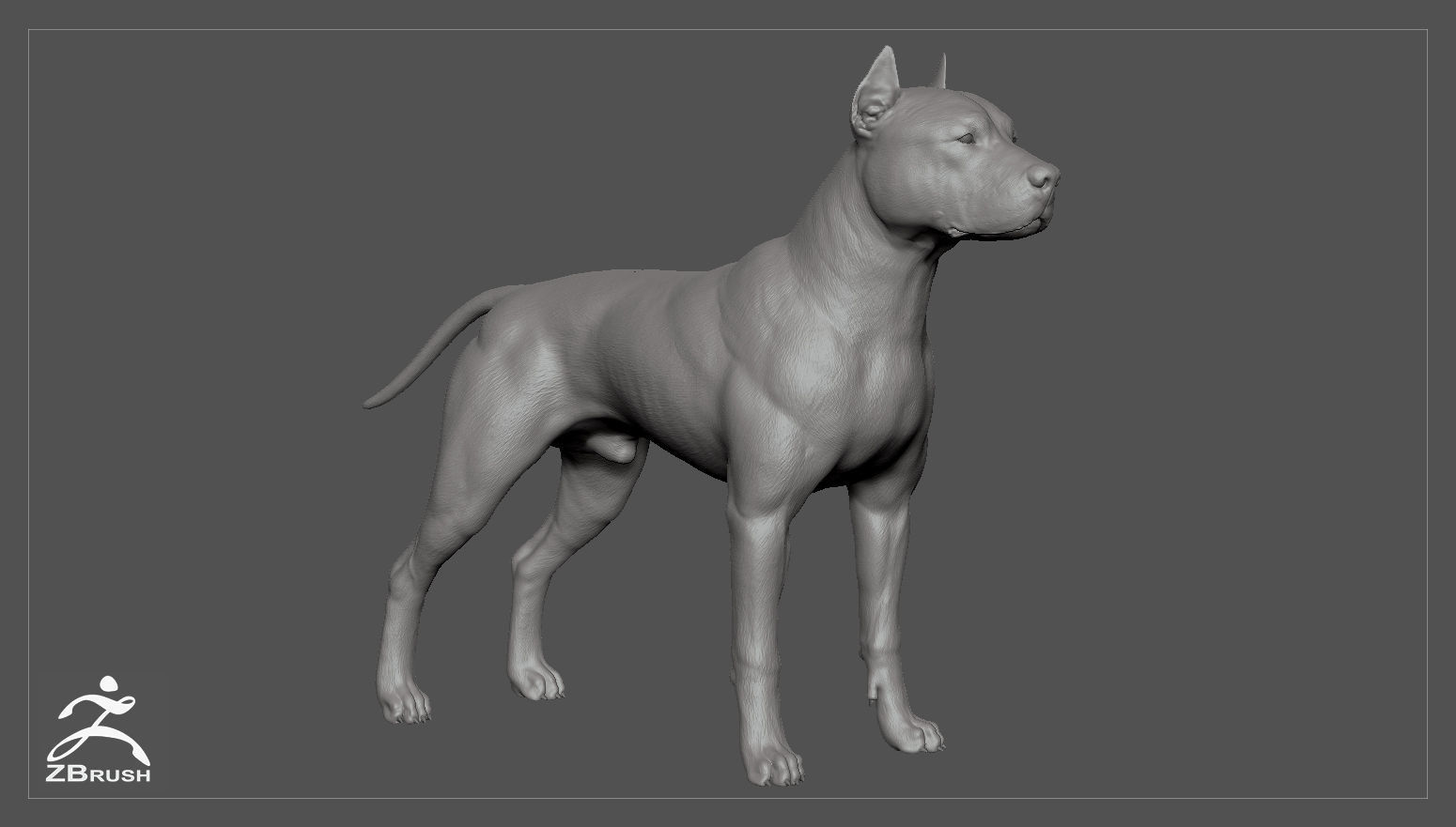Pitbull High-Poly pit bull dog 3D print model_1