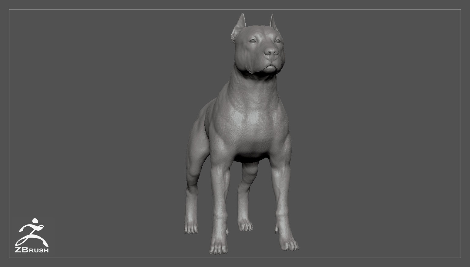 Pitbull High-Poly pit bull dog 3D print model_2