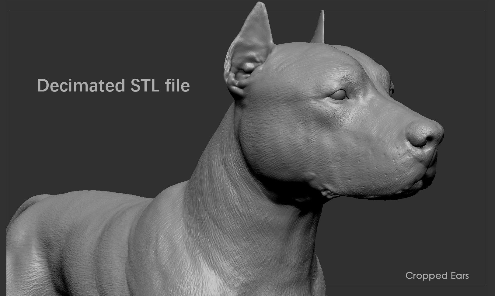 Pitbull High-Poly pit bull dog 3D print model_8