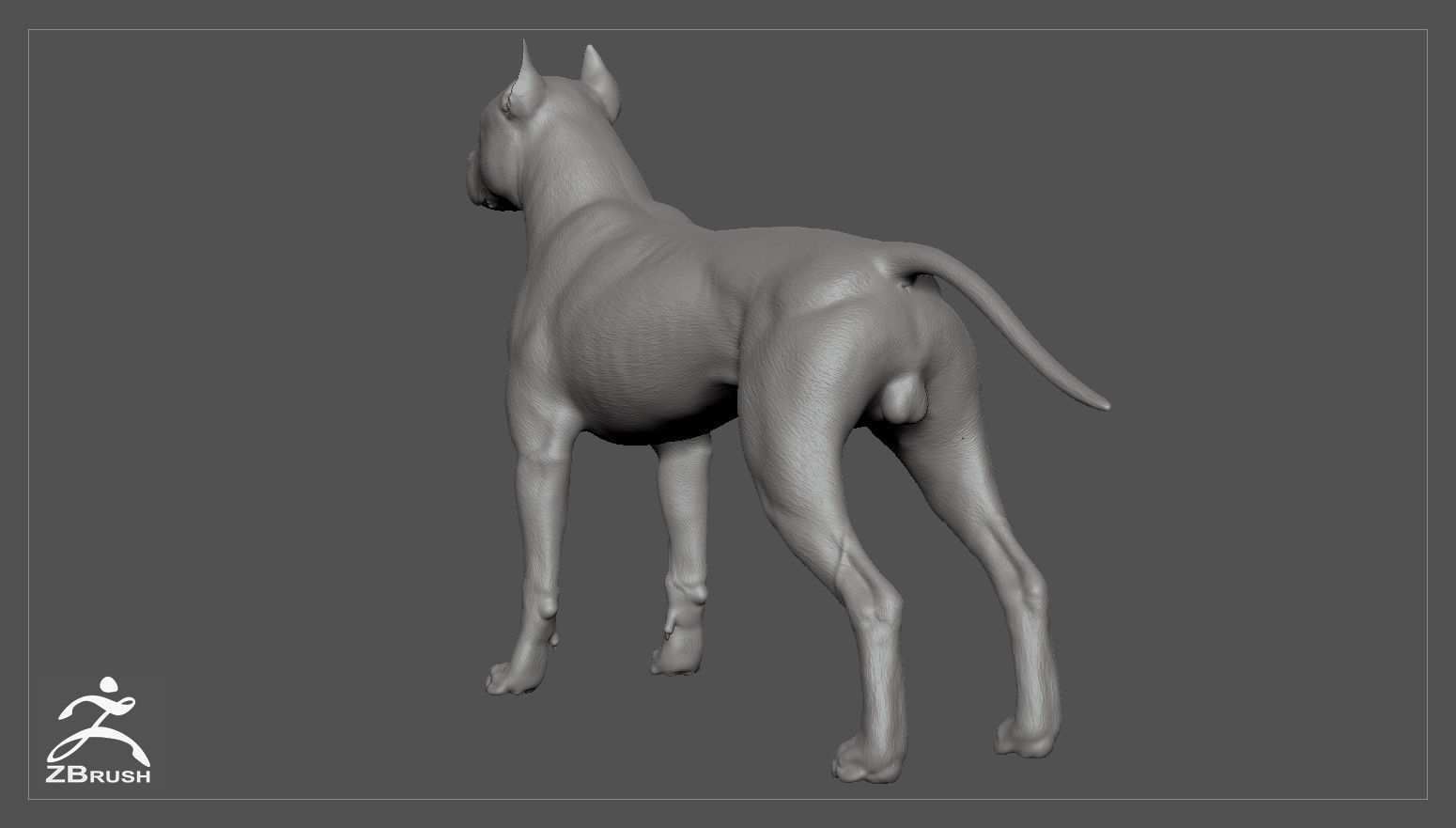 Pitbull High-Poly pit bull dog 3D print model_5