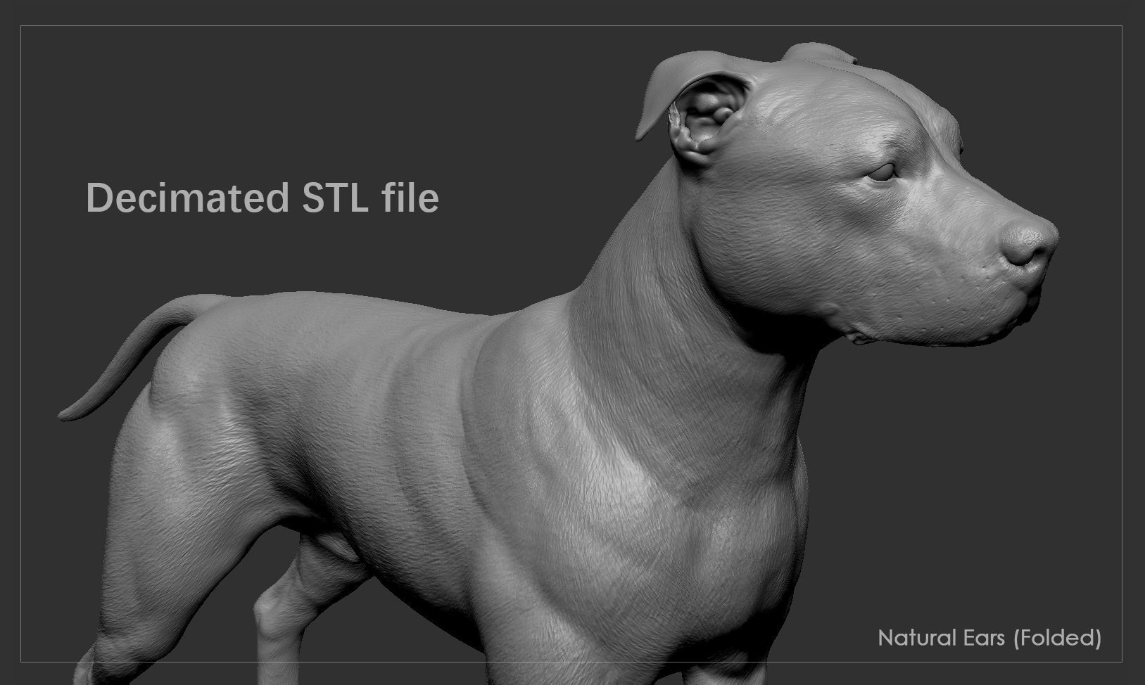 Pitbull High-Poly pit bull dog 3D print model_10