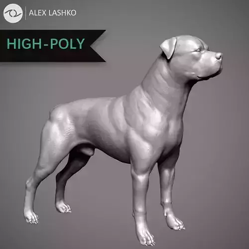 Rottweiler High-Poly dog 3D print model