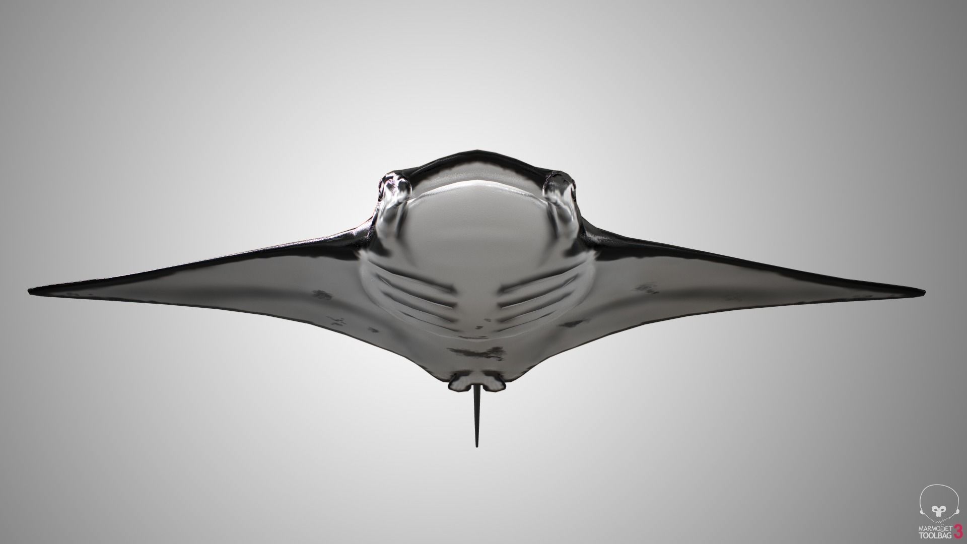 Manta Ray  Low-poly 3D model_9