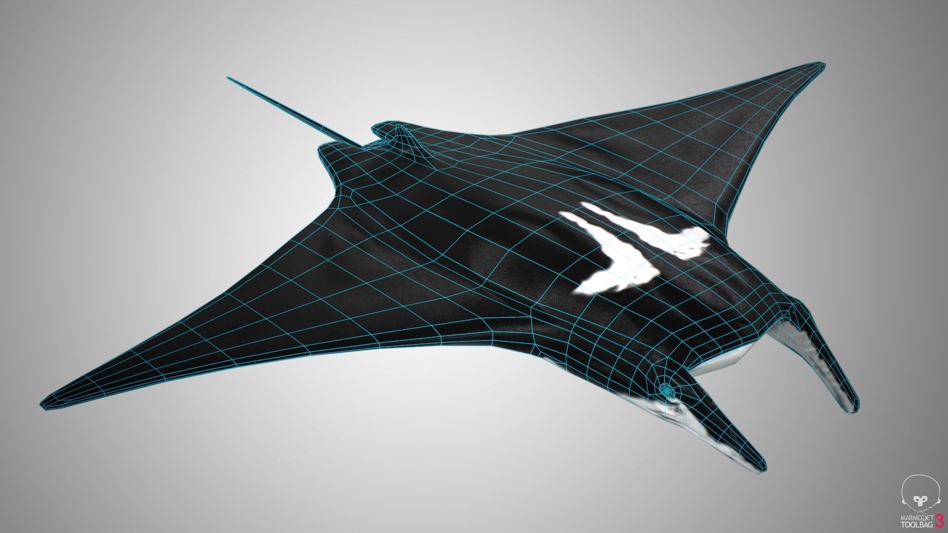 Manta Ray  Low-poly 3D model_16