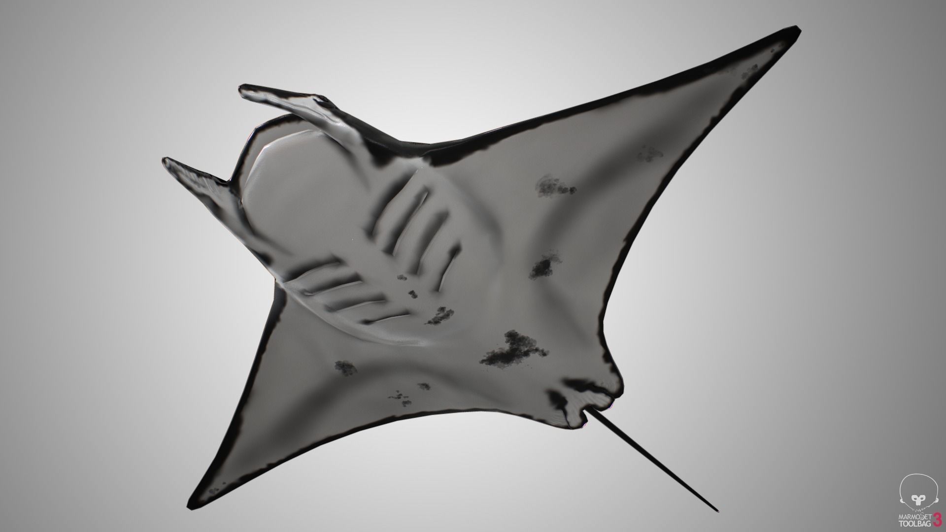 Manta Ray  Low-poly 3D model_5