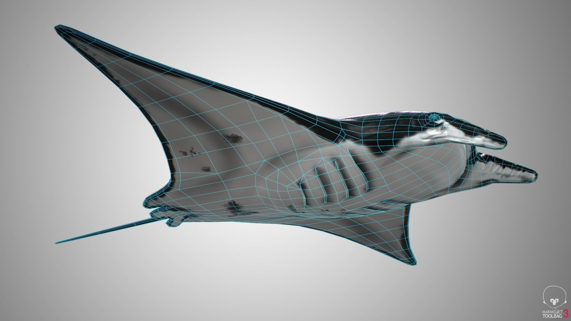 Manta Ray  Low-poly 3D model_10