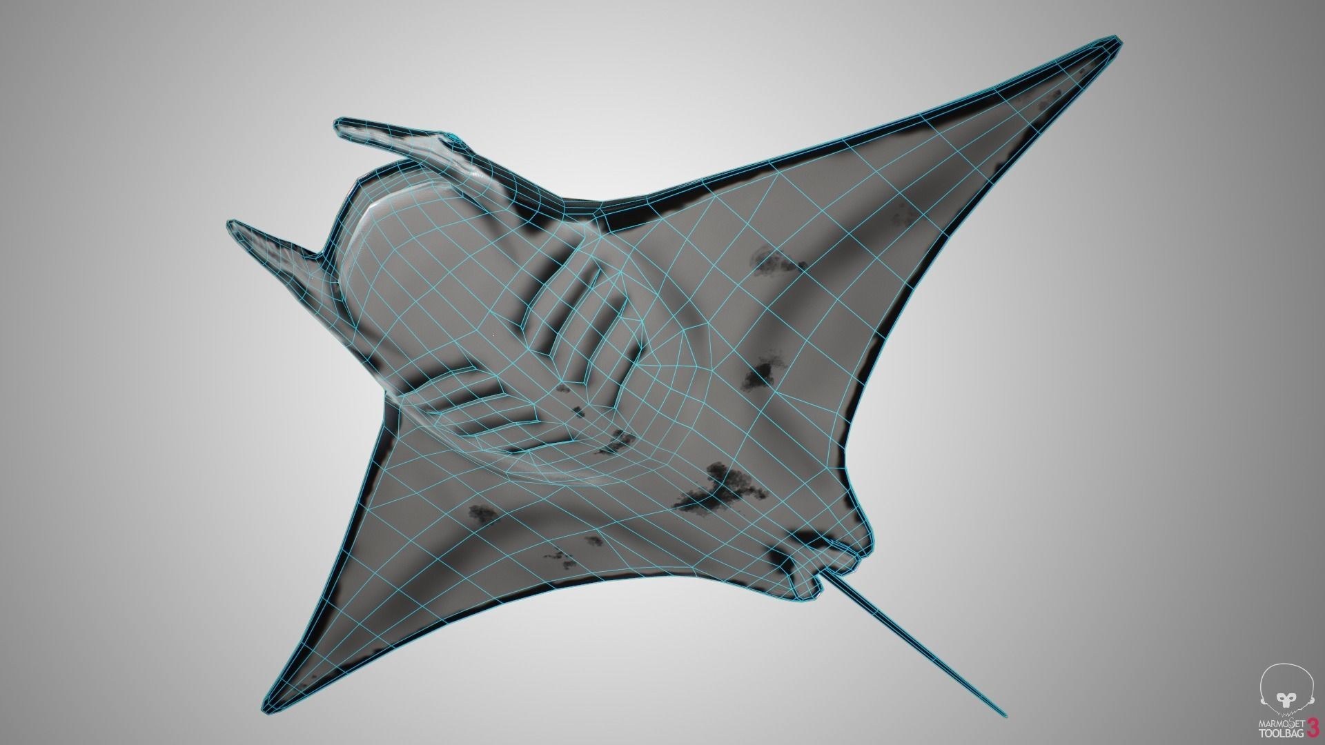 Manta Ray  Low-poly 3D model_13