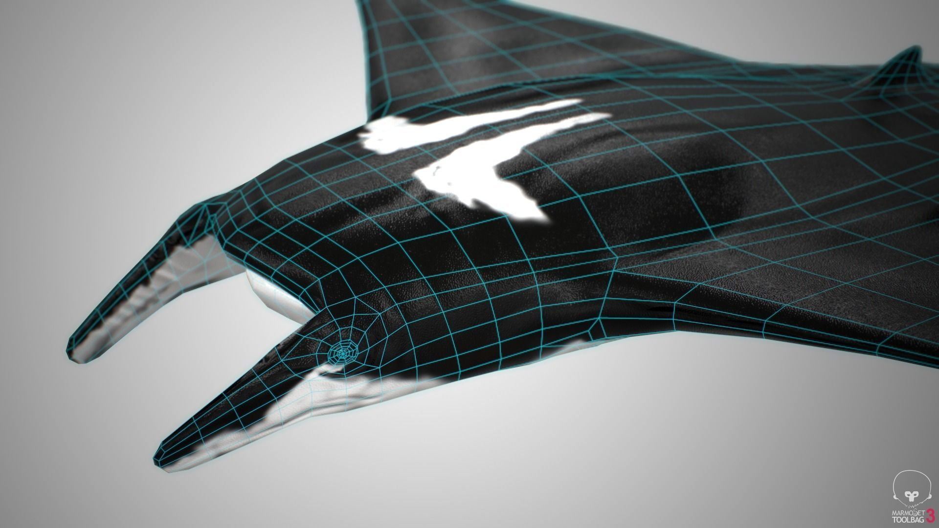Manta Ray  Low-poly 3D model_17