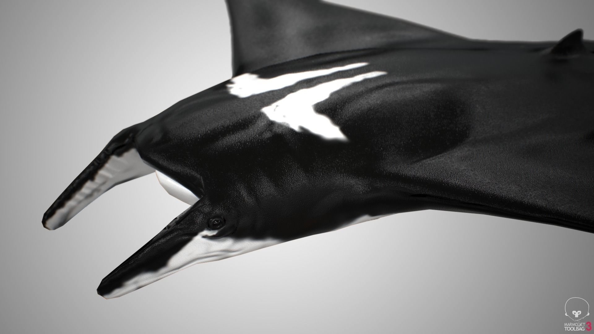 Manta Ray  Low-poly 3D model_3
