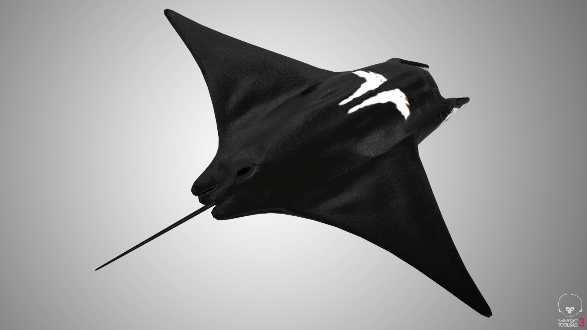 Manta Ray  Low-poly 3D model_7