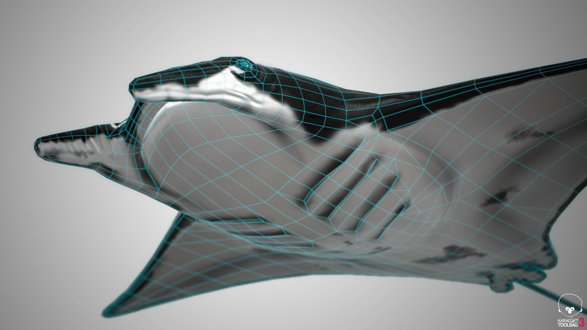 Manta Ray  Low-poly 3D model_15