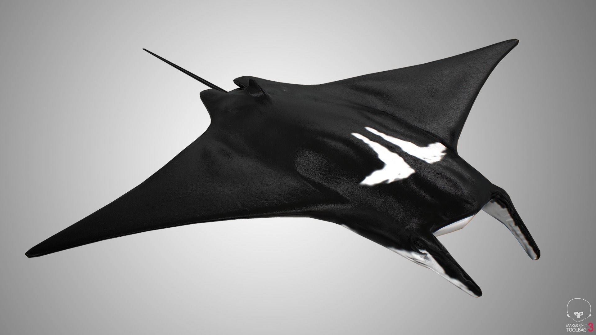Manta Ray  Low-poly 3D model_6