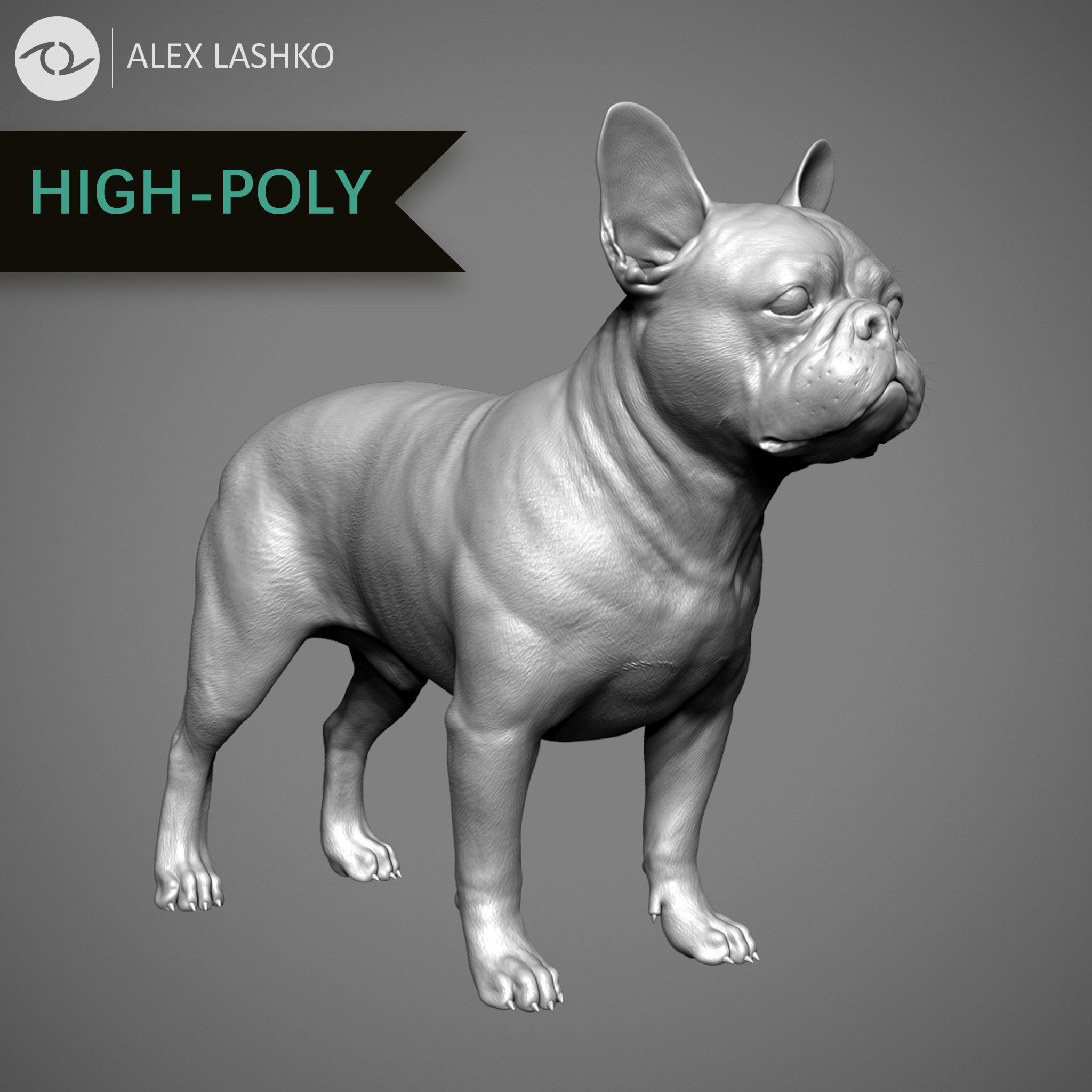 Companion Dog Pack High-Poly Collection _21
