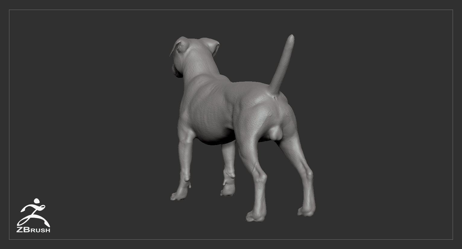 Companion Dog Pack High-Poly Collection _35