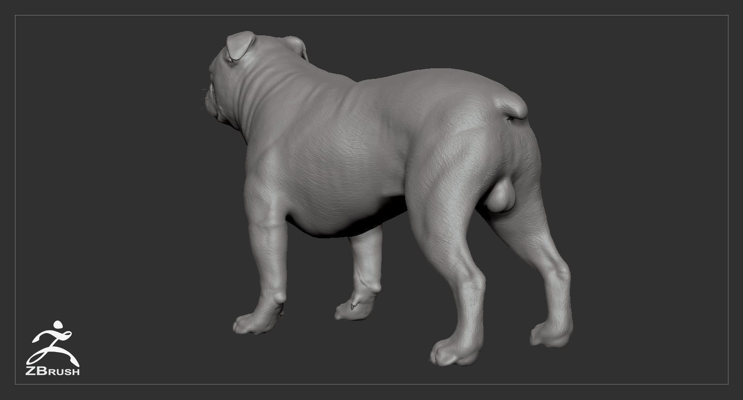 Companion Dog Pack High-Poly Collection _46
