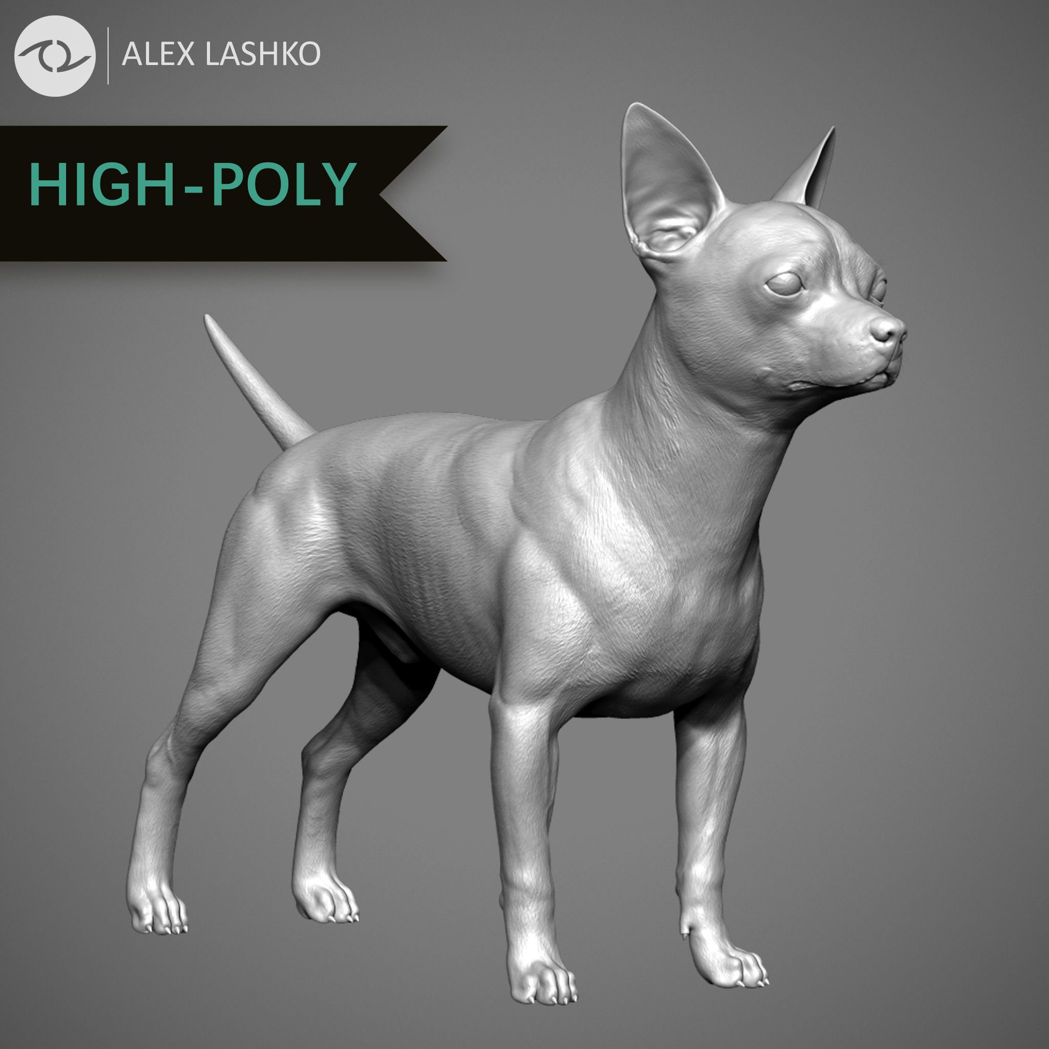 Companion Dog Pack High-Poly Collection _3