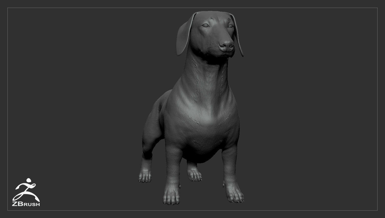 Companion Dog Pack High-Poly Collection _28
