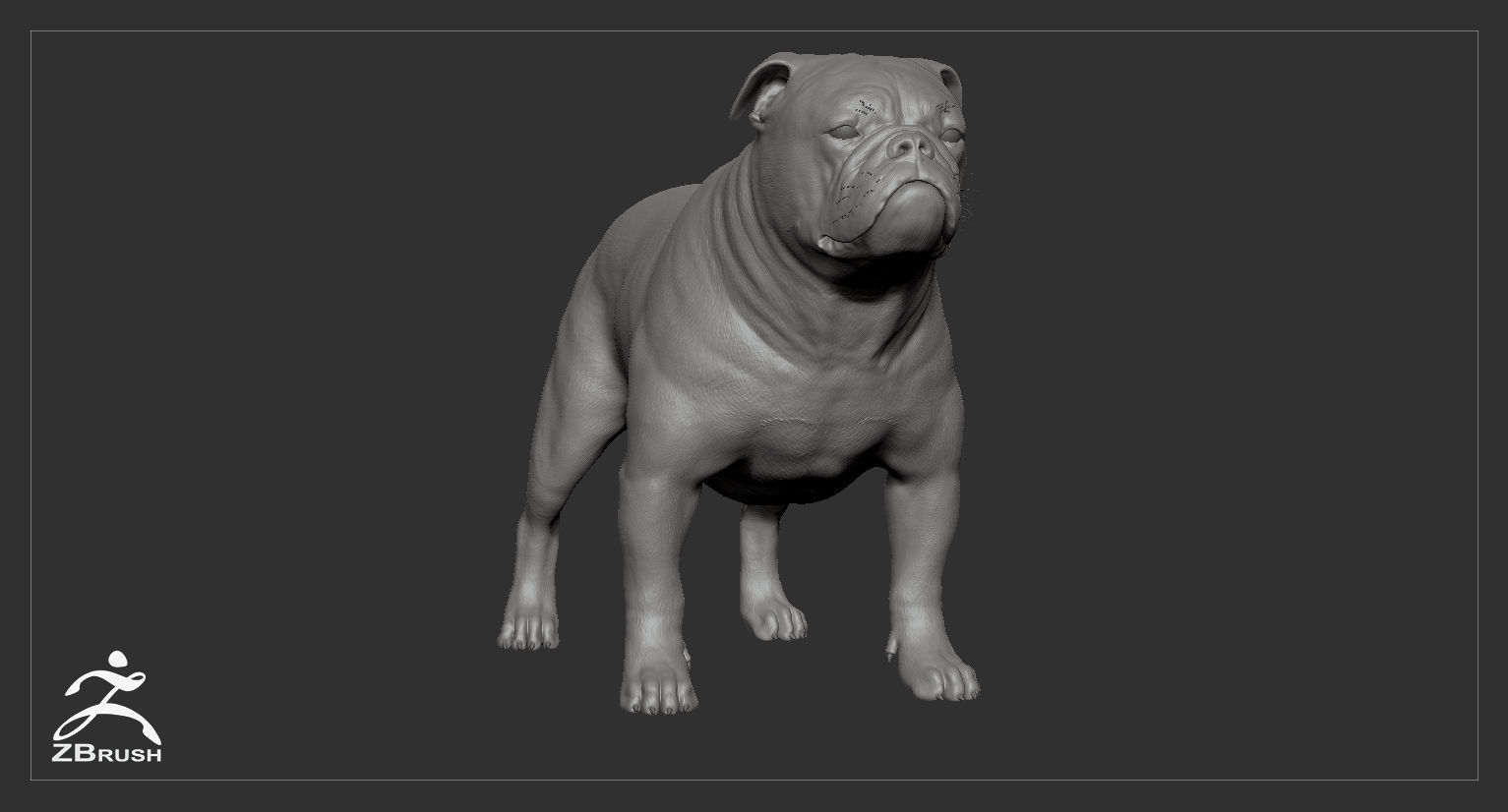 Companion Dog Pack High-Poly Collection _50