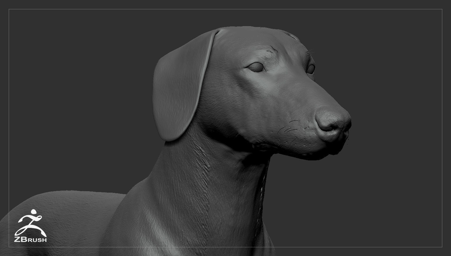 Companion Dog Pack High-Poly Collection _33