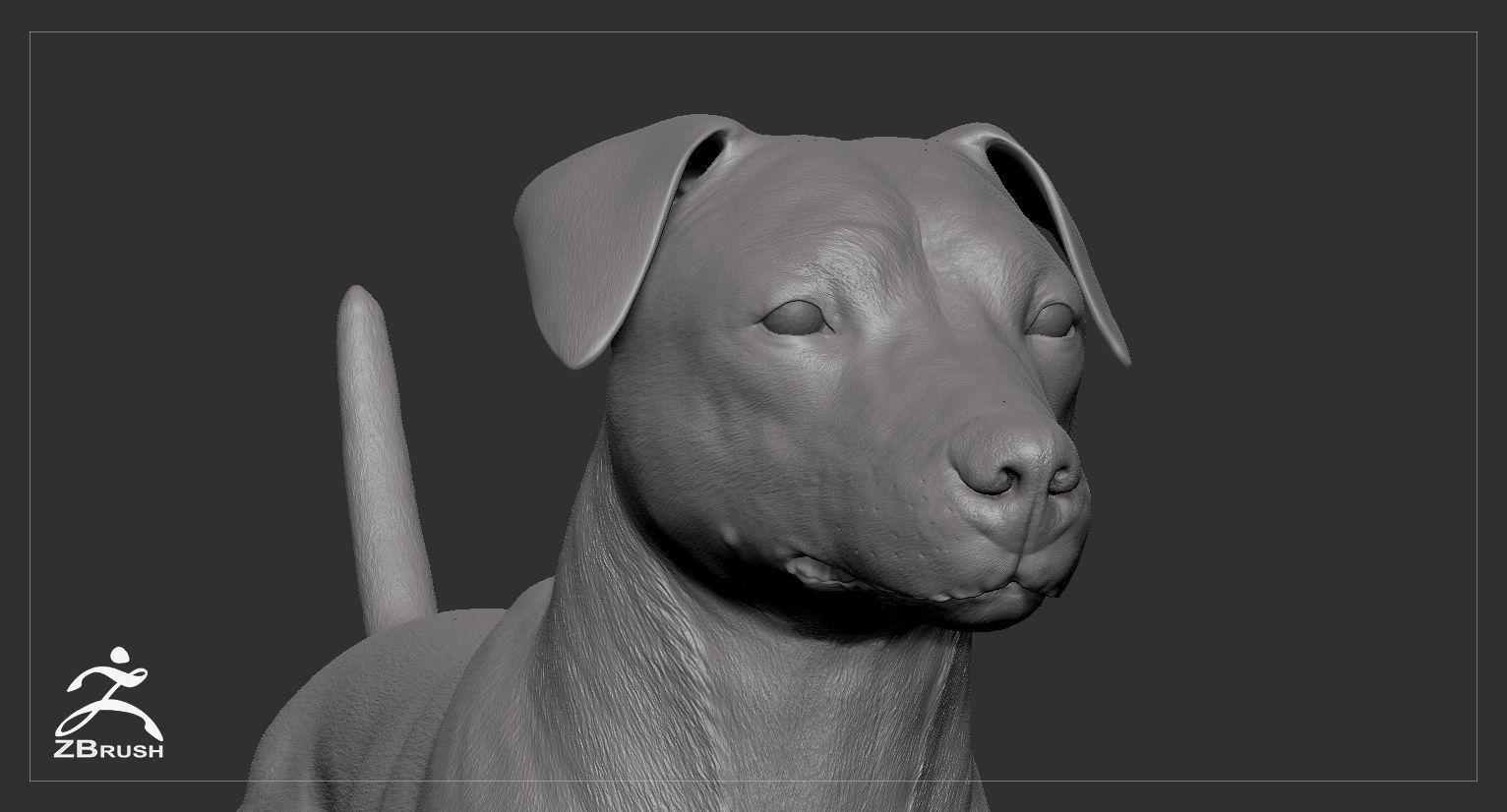 Companion Dog Pack High-Poly Collection _40