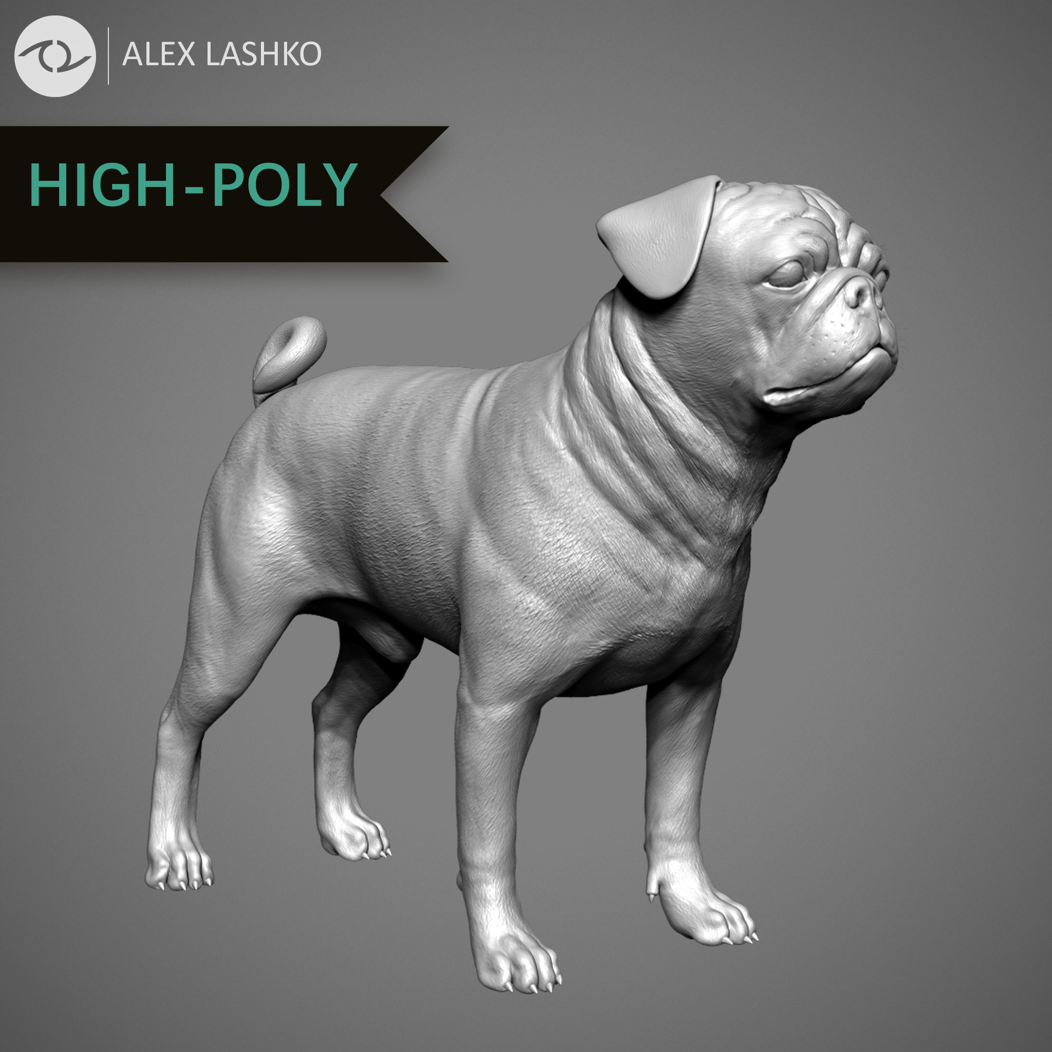 Companion Dog Pack High-Poly Collection _14