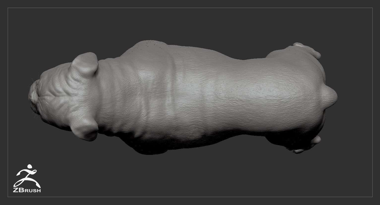 Companion Dog Pack High-Poly Collection _49