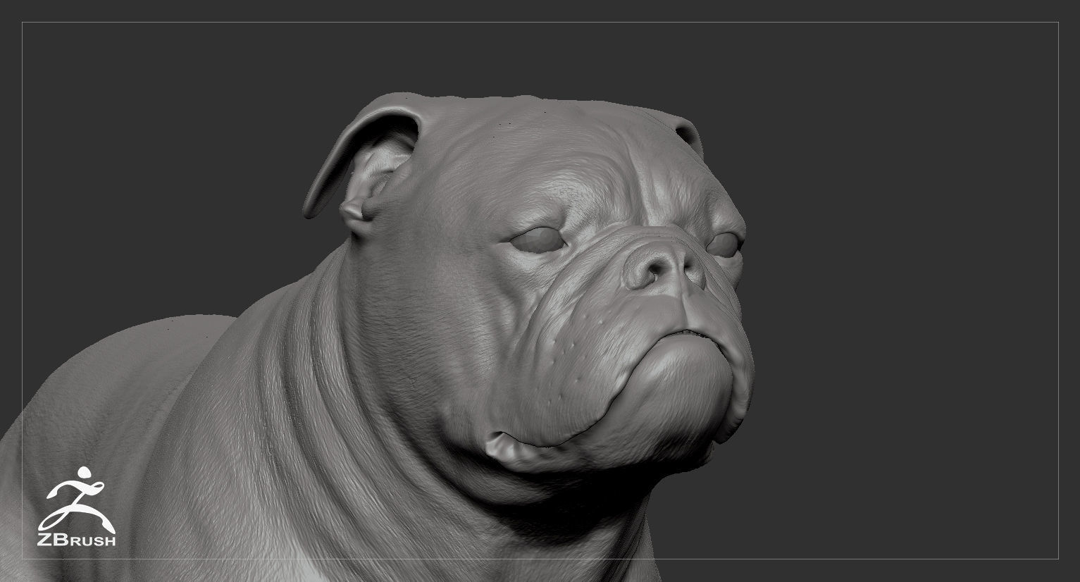 Companion Dog Pack High-Poly Collection _47