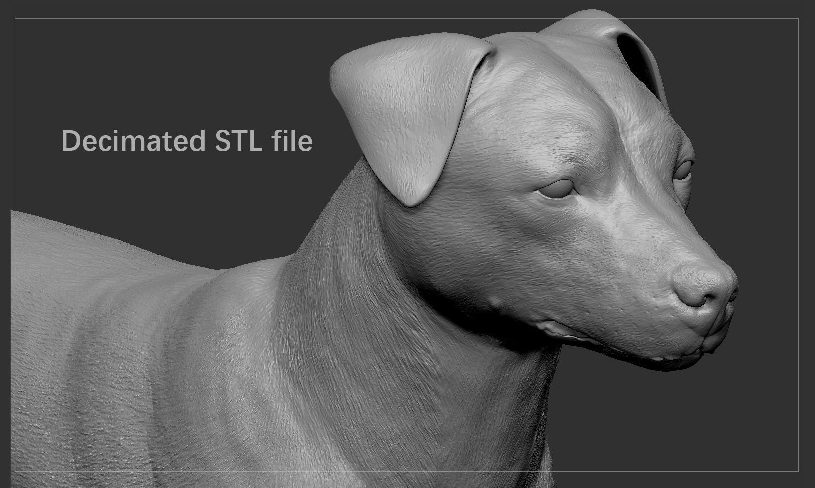 Companion Dog Pack High-Poly Collection _42