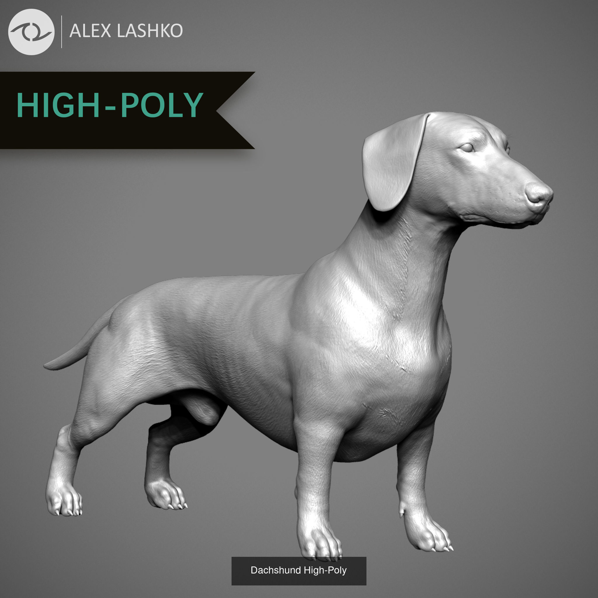 Companion Dog Pack High-Poly Collection _6
