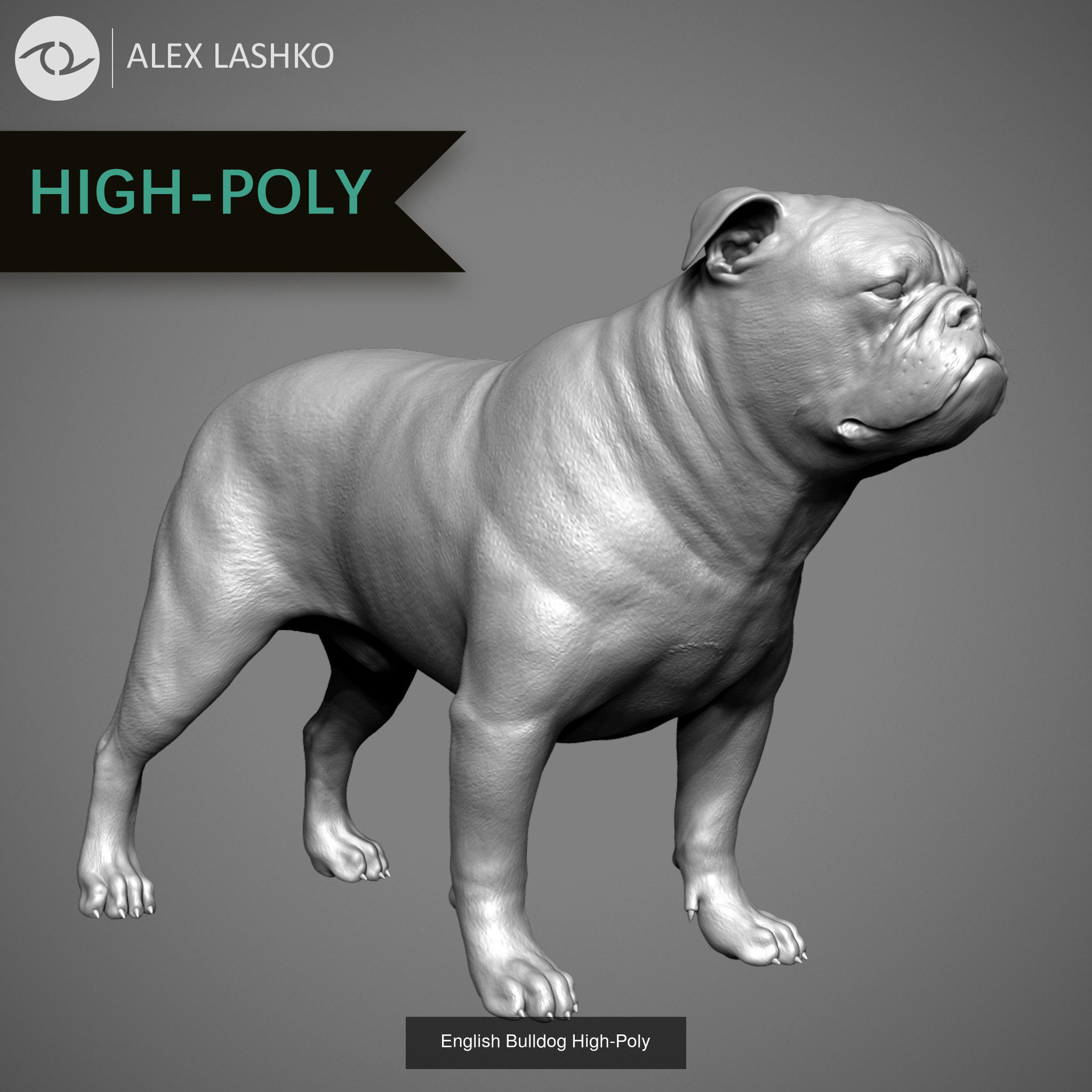 Companion Dog Pack High-Poly Collection _2