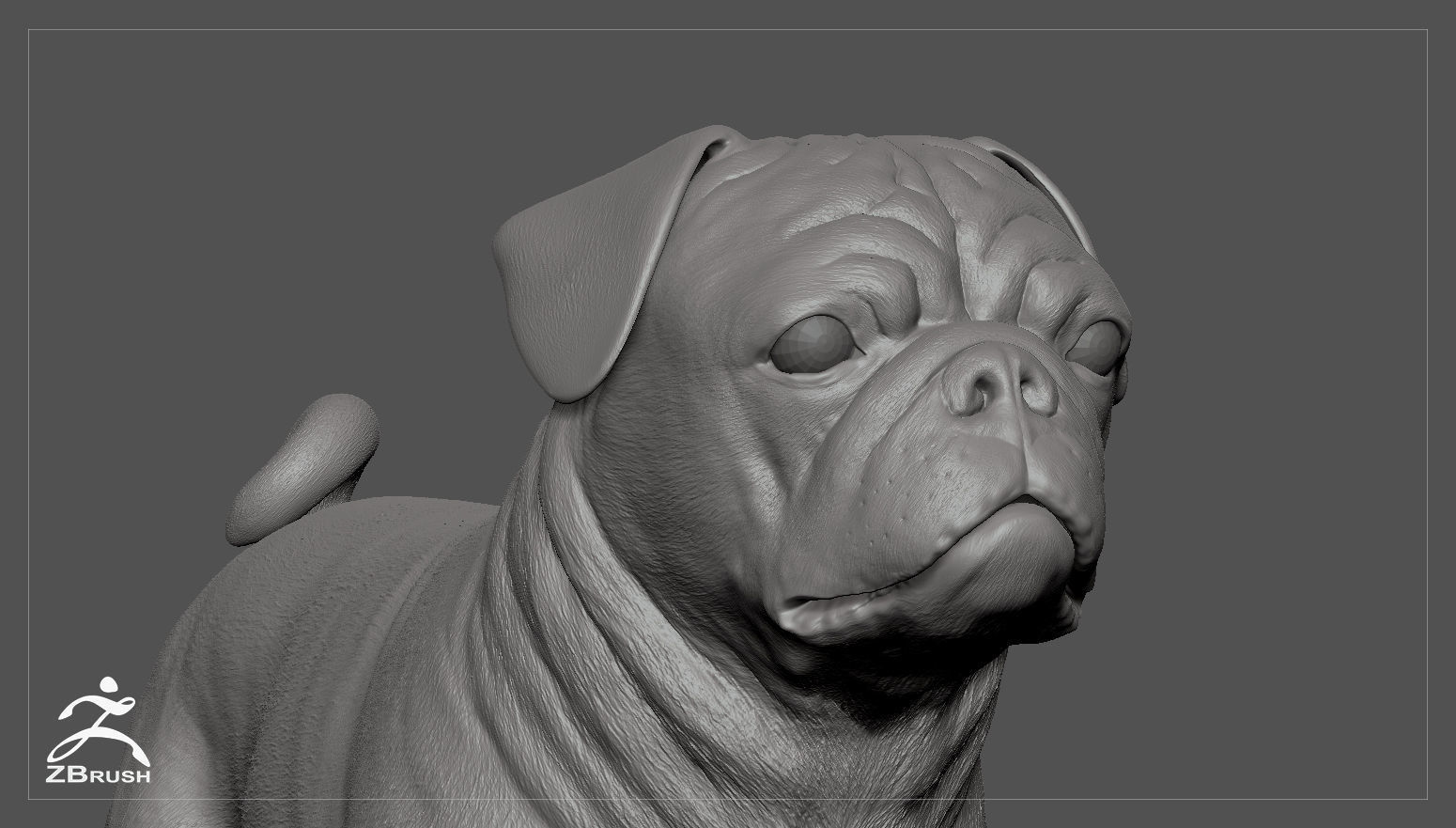 Companion Dog Pack High-Poly Collection _19