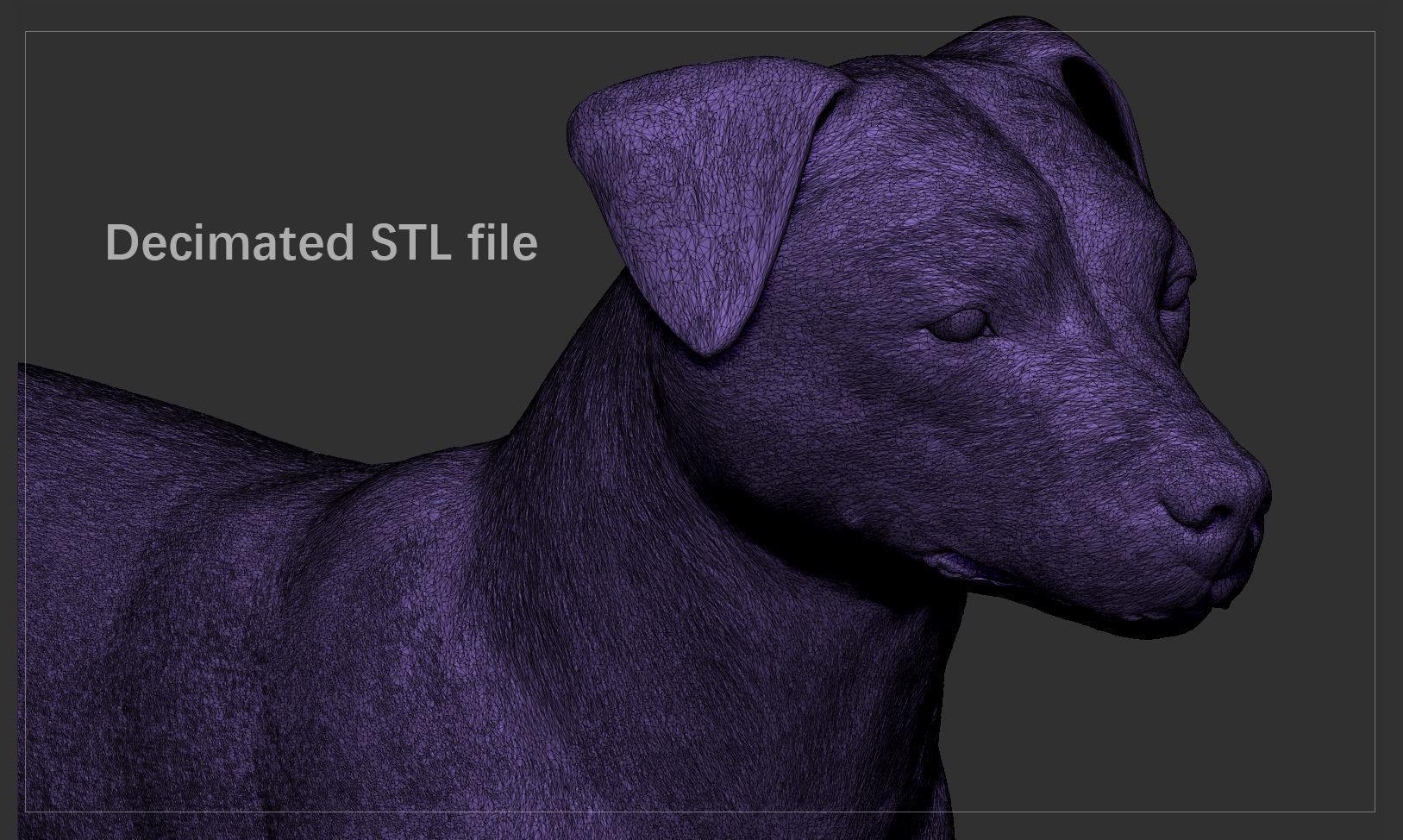 Companion Dog Pack High-Poly Collection _43