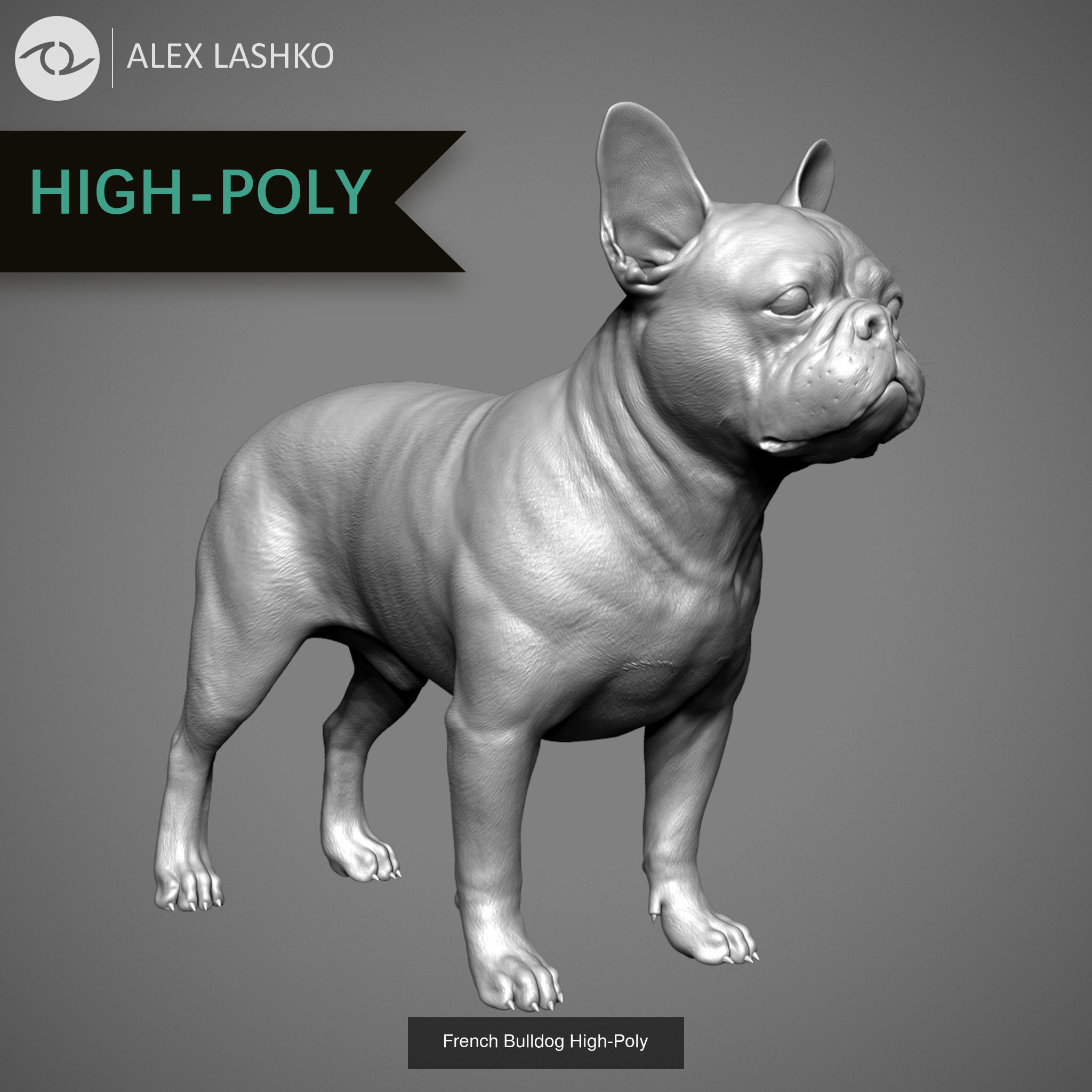 Companion Dog Pack High-Poly Collection _8