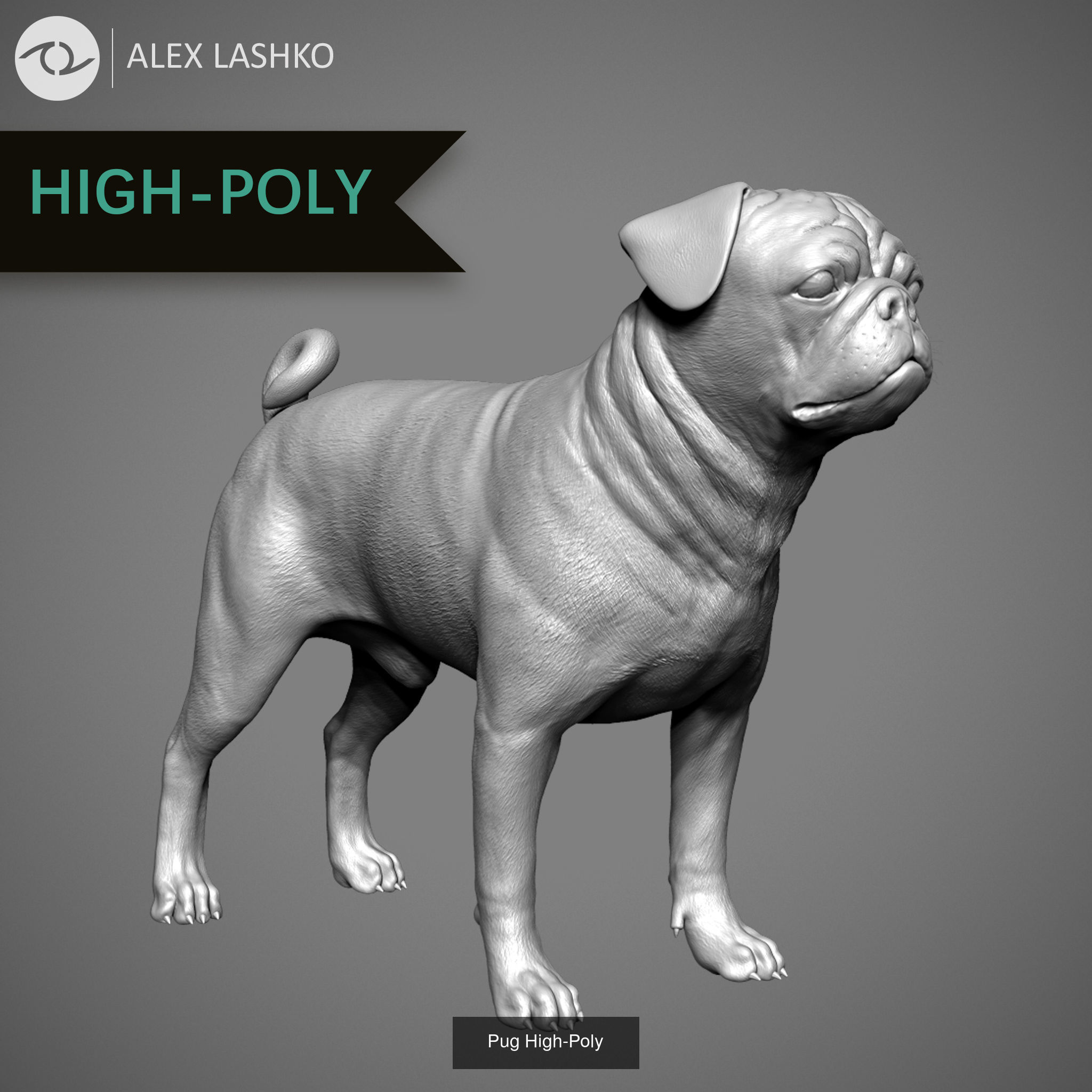 Companion Dog Pack High-Poly Collection _10
