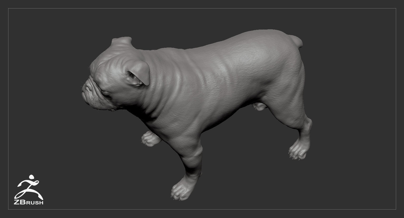 Companion Dog Pack High-Poly Collection _48