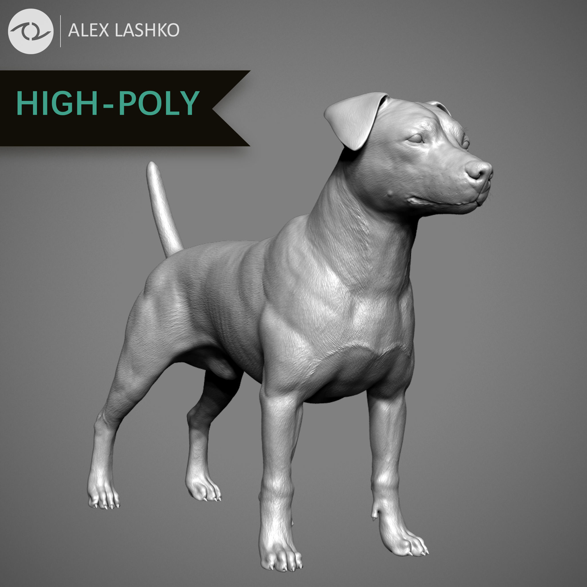 Companion Dog Pack High-Poly Collection _34