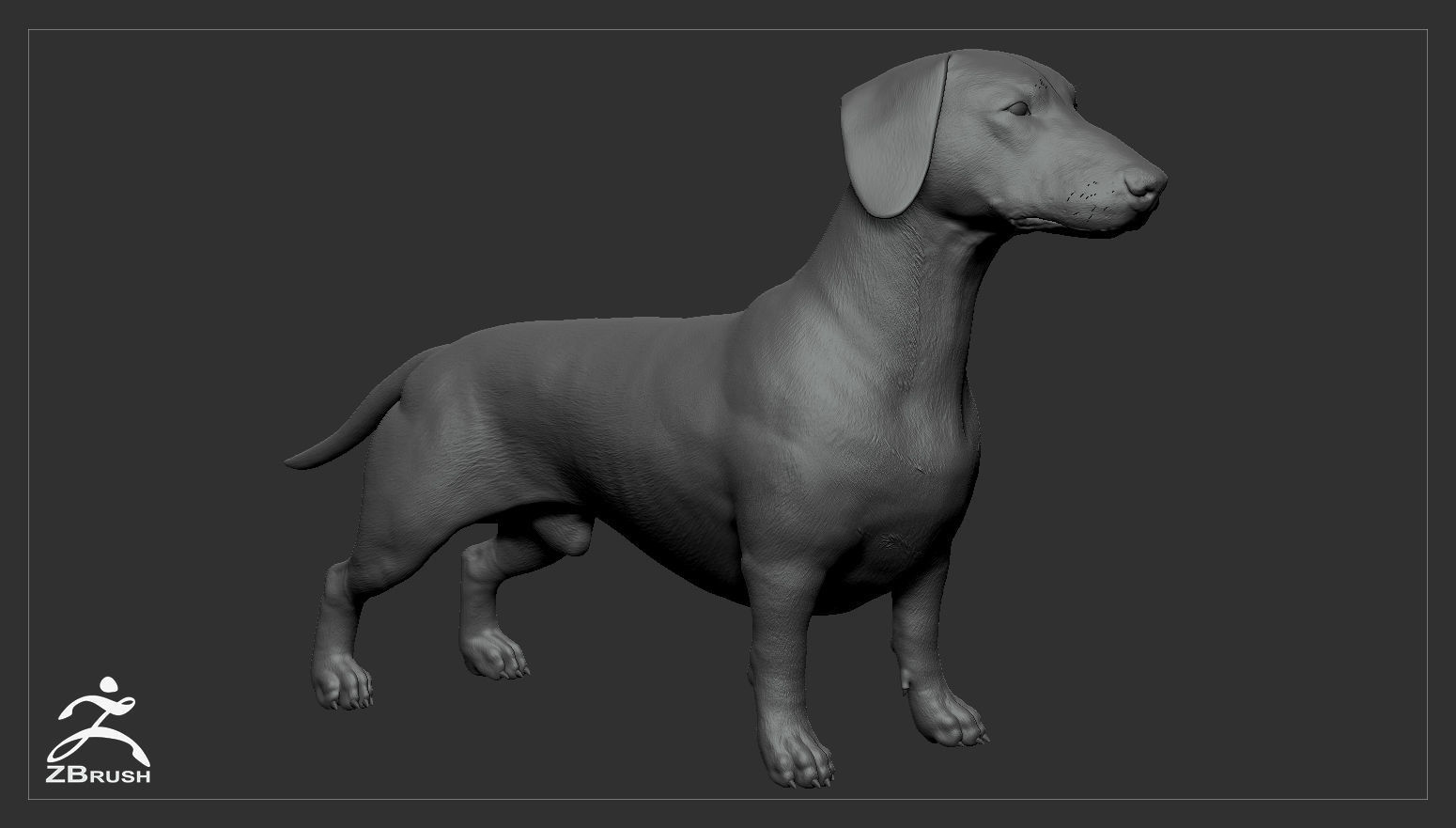 Companion Dog Pack High-Poly Collection _30