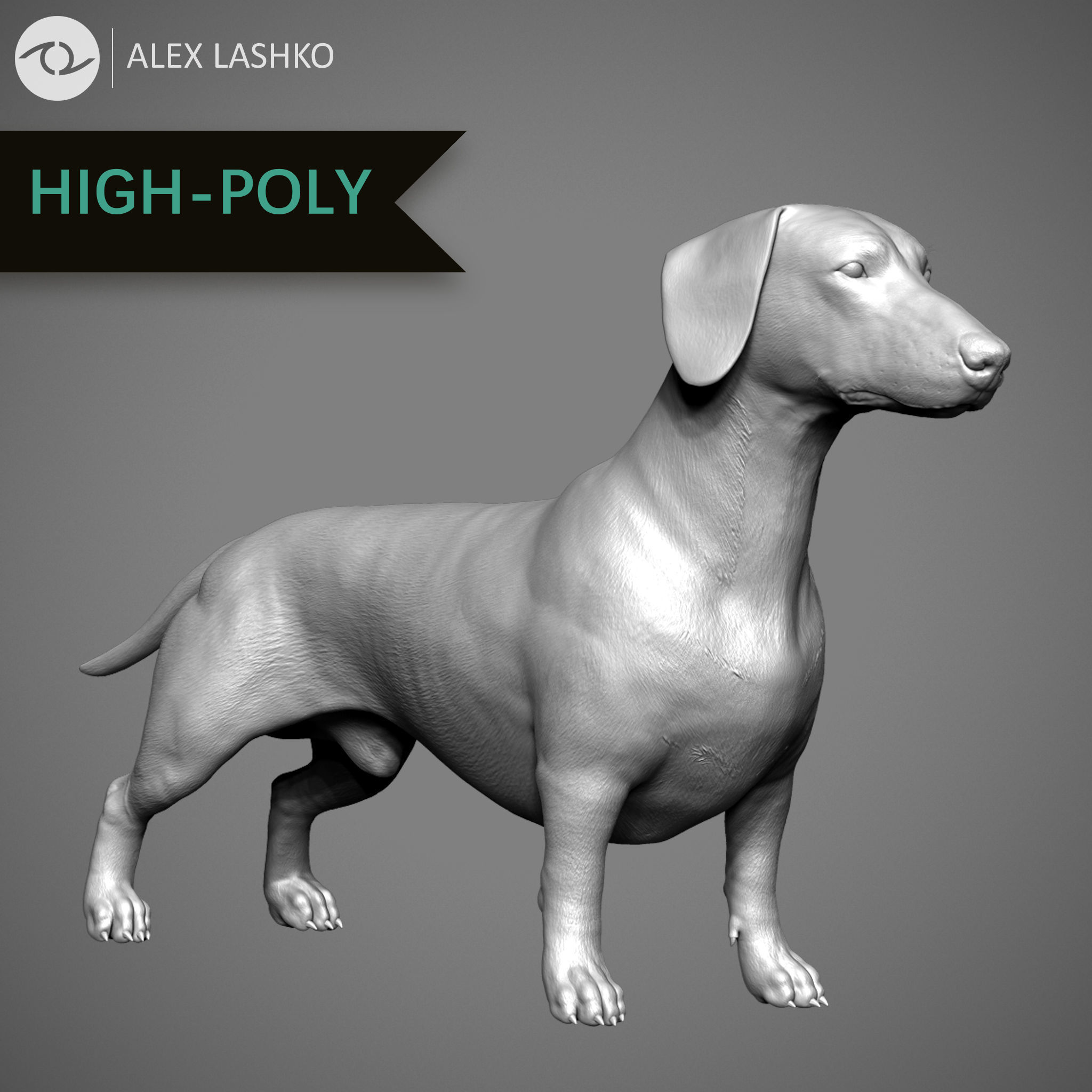 Companion Dog Pack High-Poly Collection _27