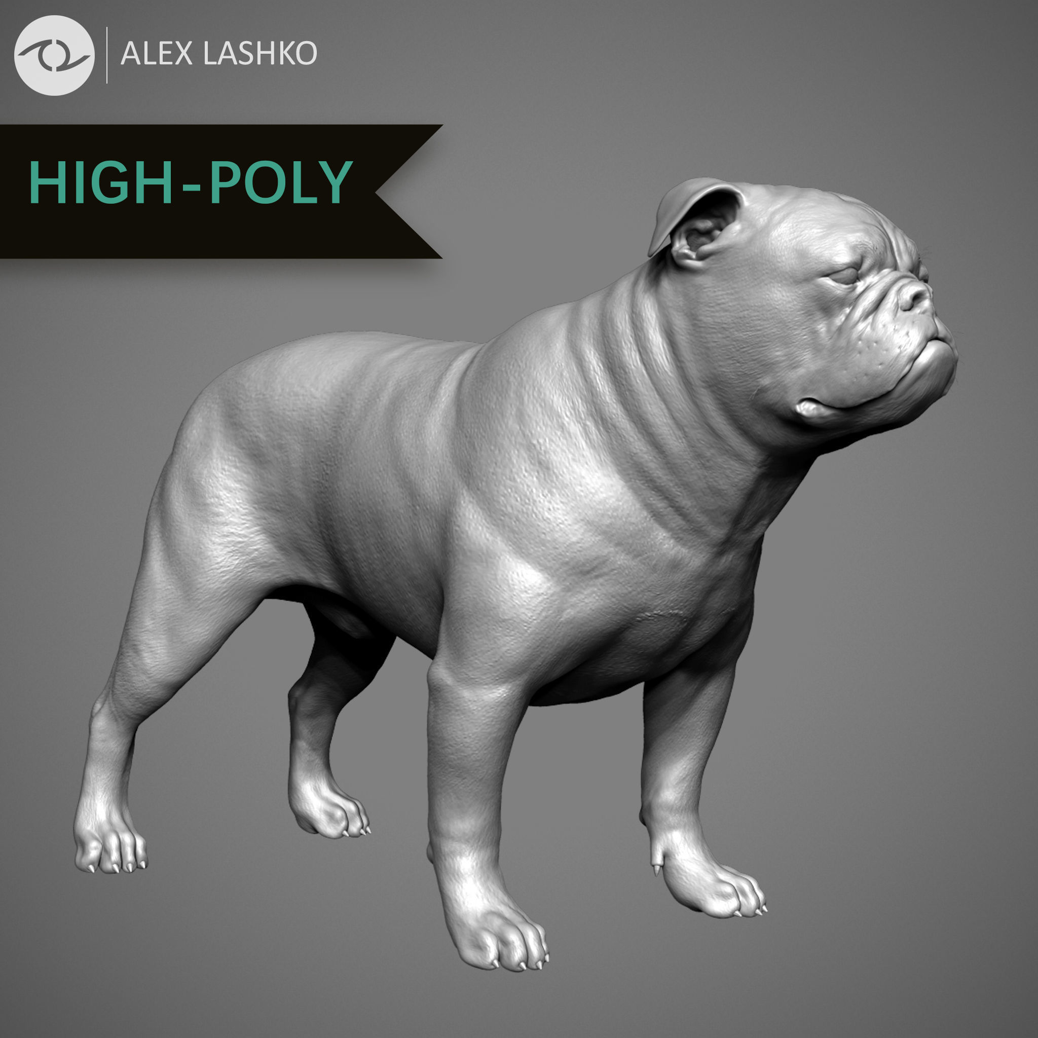 Companion Dog Pack High-Poly Collection _44