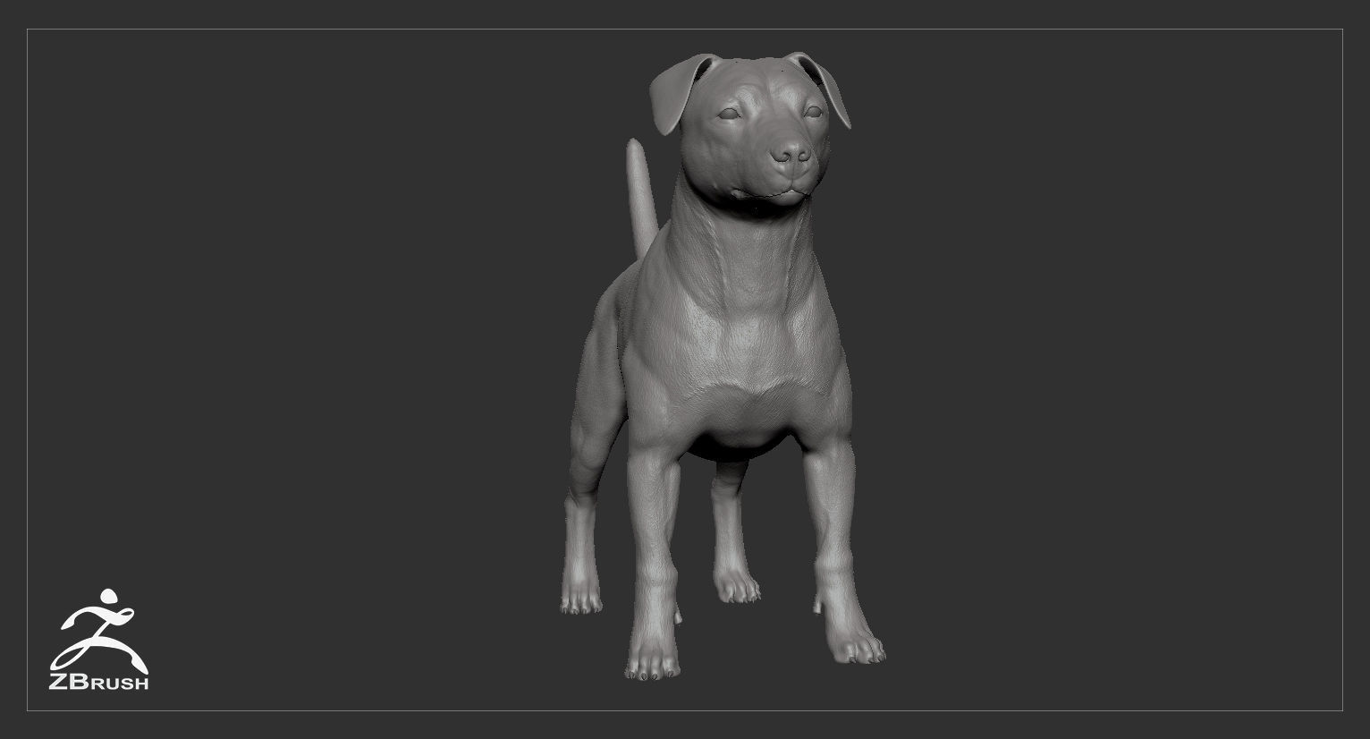 Companion Dog Pack High-Poly Collection _38