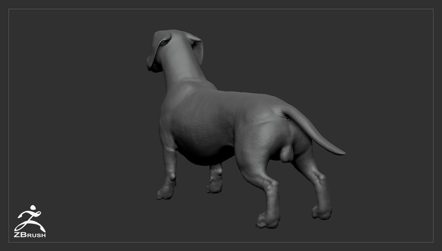 Companion Dog Pack High-Poly Collection _32
